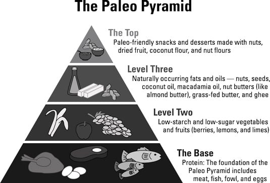 Paleo-Friendly Diet for Beginners