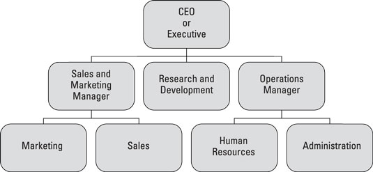 Executive Organizational Chart