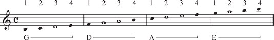 Notes you play in second position.