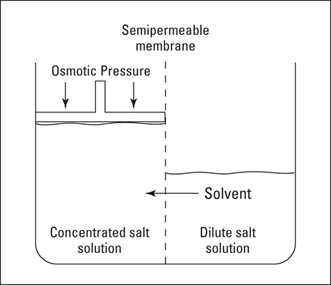 Osmotic pressure.