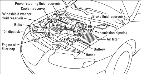 Check the coolant stored in the plastic bottle connected to the radiator.