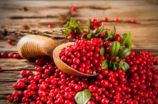 Cranberries for urinary tract protection