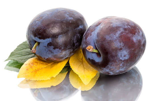 Black plums and prunes