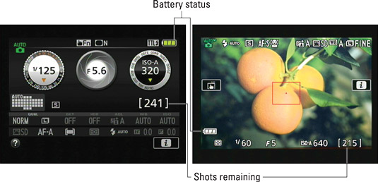 Press the Info button to view picture‐taking settings on the monitor.