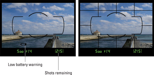 Picture settings also appear at the bottom of the viewfinder (left); enable the grid for help with 