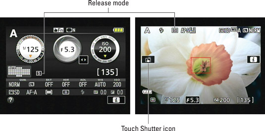 This S represents the Single Frame shutter‐release option, which produces one picture for eac