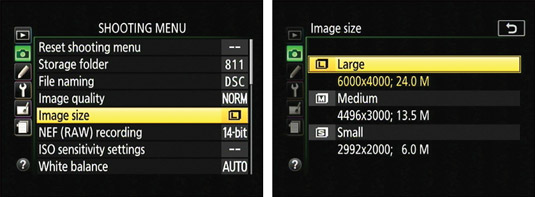 You also can set Image Size and Image Quality via the Shooting menu.