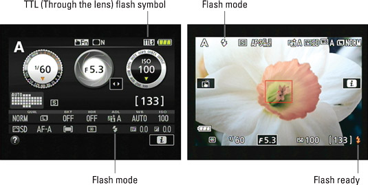 An icon representing the Flash mode appears in the displays.
