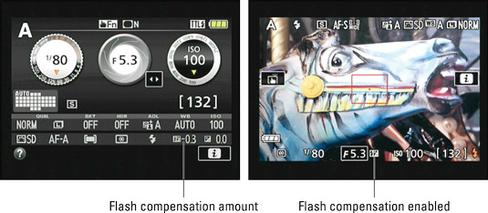 These symbols represent Flash Compensation.
