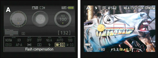 Rotate the Command dial while pressing the Flash and Exposure Compensation buttons to adjust the fl
