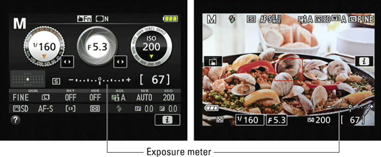 In M exposure mode, the exposure meter appears in the Information and Live View displays.