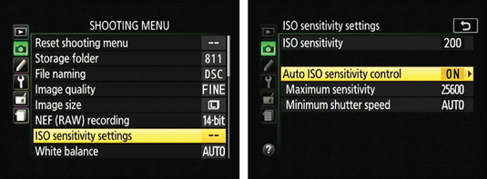 You can access advanced ISO options from the Shooting menu.