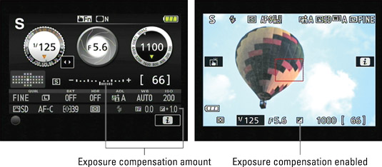 These indicators tell you whether Exposure Compensation is enabled.