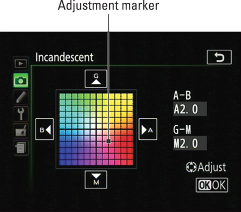 Move the black square around the color grid to fine‐tune the selected White Balance setting.