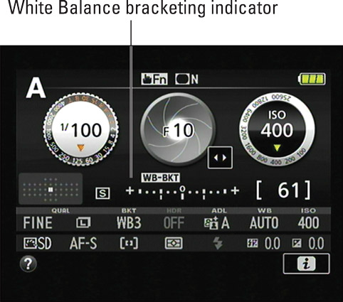 These markings remind you that white balance bracketing is enabled.