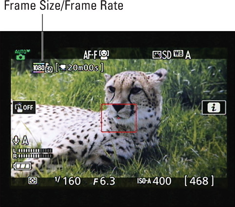 This data represents the current Frame Size/Frame Rate.