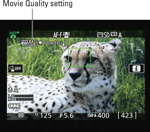 The tiny star indicates the High Movie Quality setting; the star disappears when you select the Nor