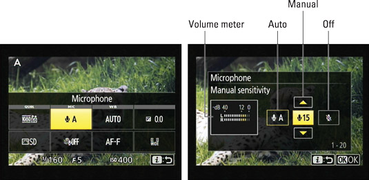 You can adjust the Microphone setting from the control strip.