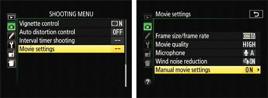 Enable this option to take control over movie exposure.