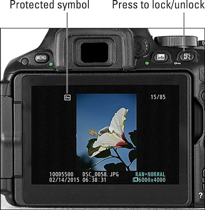 Press the AE‐L/AF‐L button to give an image protected status.