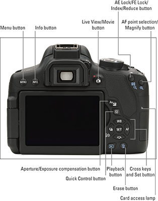 Back view of the Canon EOS Rebel T6i/750D camera.