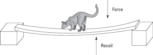 The concept of elastic recoil.