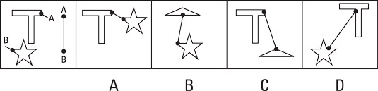 Identifying points and shapes.