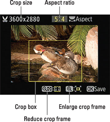 The yellow box indicates the ­cropping frame.