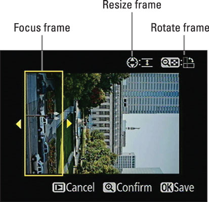 The area inside the yellow box will remain in focus.