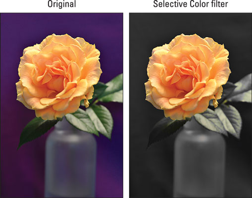 The Selective Color filter was used to desaturate everything but the rose petals.