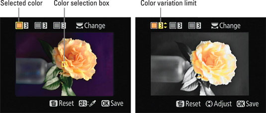 To select a color you want to keep, move the yellow box over it and press the AE-L/AF-L button.