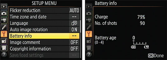 The Battery Info option on the Setup menu provides details about battery life.