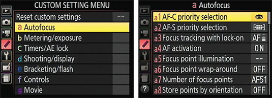 The Custom Setting menu contains submenus of advanced options.