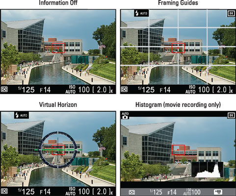 In Live View mode, pressing the Info button cycles through these alternative displays.