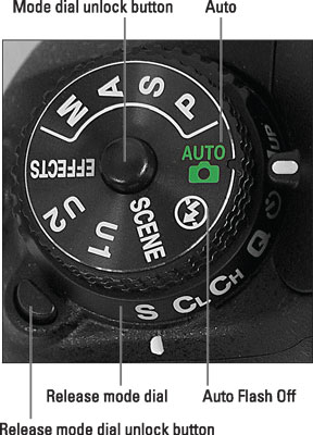 Set the Mode dial to Auto or Auto Flash Off.