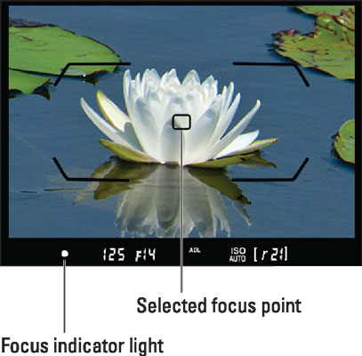 <b>Check the focus indicators in the viewfinder.</b>