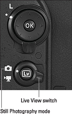 Set the Live View switch to the still-camera position and then press the LV button to turn on the L