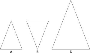 Examine these triangles to see which are the same.