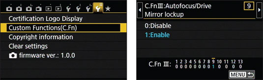 Mirror lockup prevents camera shake caused by the movement of the optical system’s mirror.