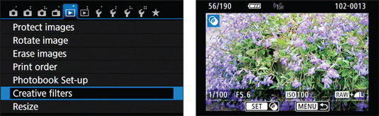 You also can access the filters from Playback Menu 1.  [Credit: Photo by Robert Correll]