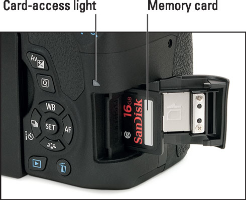 Insert the memory card with the label facing the back of the camera.