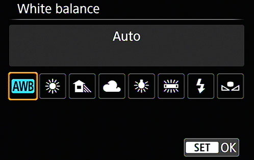 After choosing the setting you want to use, tap the Set icon or press the Set button.
