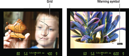 You can display a grid (left) and be warned of flickering lights (right).