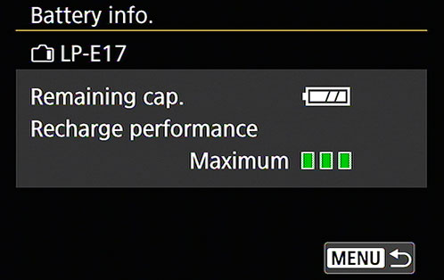 Check battery health using the Battery Info screen.