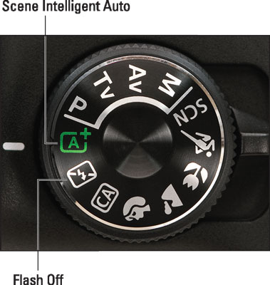 Set the Mode dial to Auto or Auto Flash Off for point‐and‐shoot simplicity.