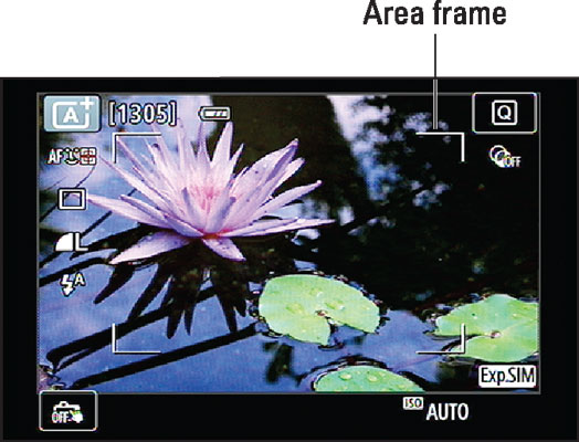 Move the focus frame over your subject and press the shutter button halfway to focus.