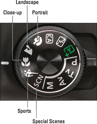 These icons represent automatic exposure modes geared to specific types of scenes.