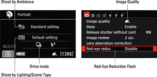 Some scene modes enable you to adjust a few settings via the Quick Control screen or Shooting Menu 