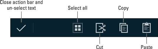 Text-selection contextual action bar.