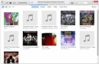 The iTunes music page.